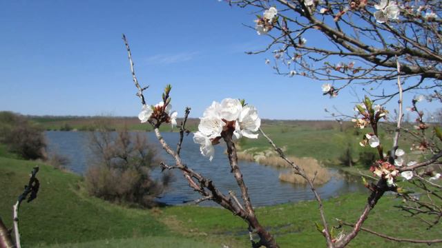На степные водопады Запорожской области смотреть онлайн