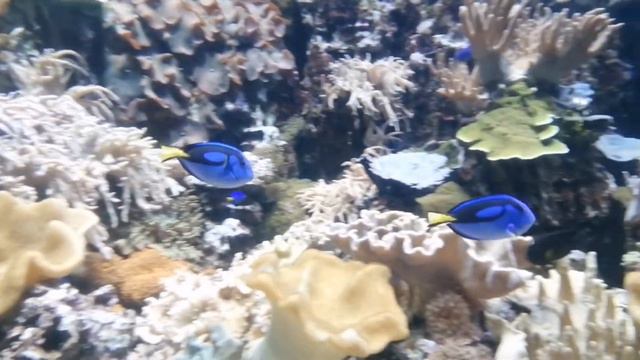 VLOG: КУДА МЫ ПОПАЛИ? 😱