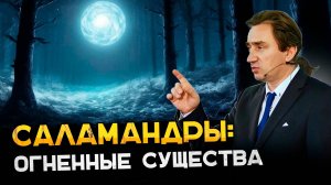 Саламандры - огненные существа.