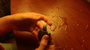 Как ухаживать за красноухими черепахами