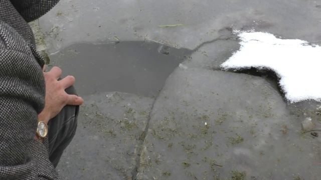 Заселение раков в пруд: шикарный подарок от друзей и подписчиков! смотреть онлайн