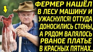 Из машины в лесу доносились стоны, фермер услышал их и ужаснулся, увидев рядом разорванное платье.