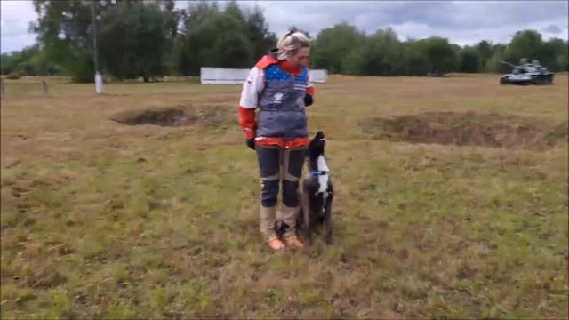 Хайз! смотреть онлайн