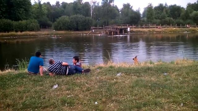Гольяновские бандиты отдыхают на пруду. смотреть онлайн