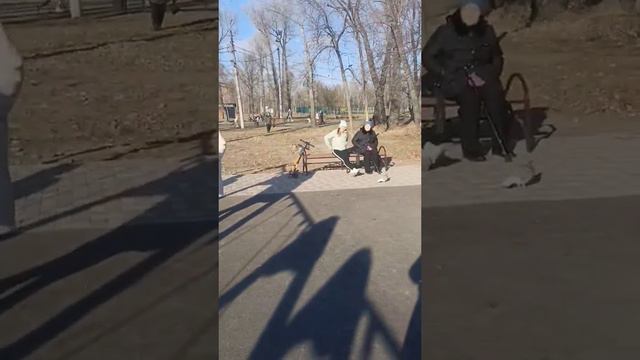 2022, Абакан, бабуля смотреть онлайн