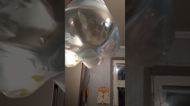Отвратительная вода в Краснодаре(2) смотреть онлайн