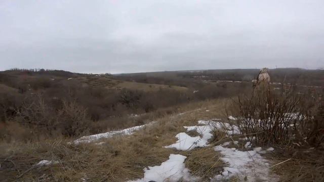 ЗАГОННАЯ ОХОТА НА ШАКАЛА И ЛИСУ смотреть онлайн