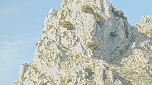 Short film "COARAZE" смотреть онлайн