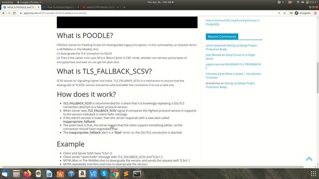 What is POODLE attack & TLS_FALLBACK_SCSV | Test POODLE Vulnerability Using testssl | Secure Nginx смотреть онлайн