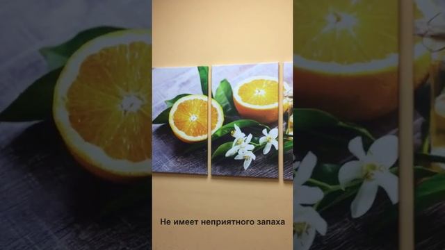 Модульная картина для кухни апельсины и зеленые листья смотреть онлайн