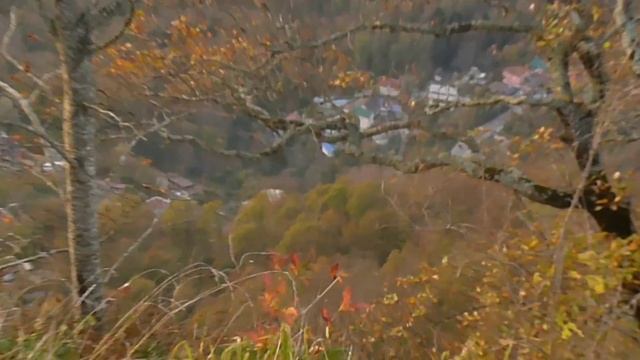 Хоста. Сочи. Потрясающие виды. Гора Овсянникова. Кудепстинский лесопарк. Жертвенный камень. смотреть онлайн