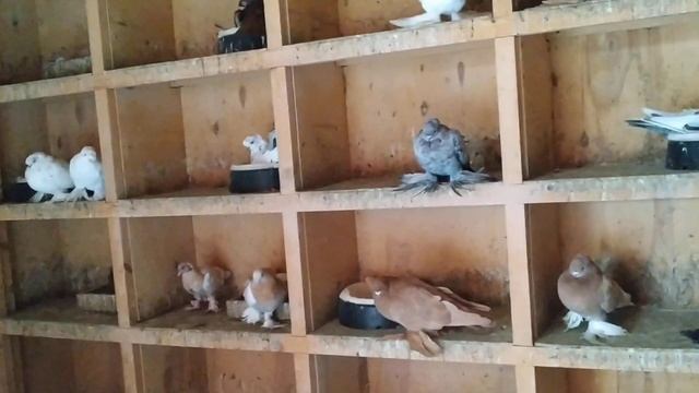 как добиться быстрого результата? смотреть онлайн