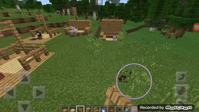 Топ 3-х комнат для животных