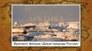 Природа арктических пустынь, тундр и лесотундр Видеоурок по географии 8 класс