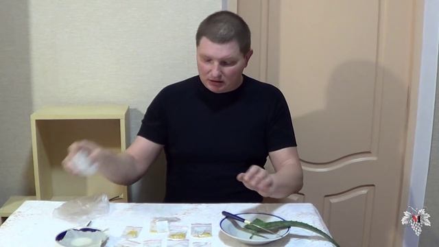 Выращивание перца в домашних условиях. Часть 1. Виноград 2016. смотреть онлайн