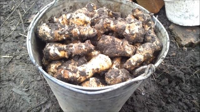 Один день в хозяйстве "Хорошо живём". Мужской взгляд на жизнь в деревне. смотреть онлайн