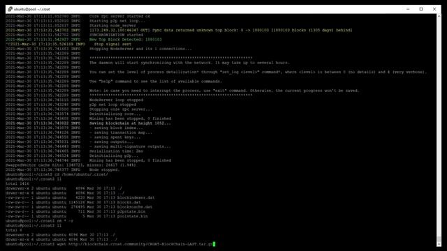 CROAT Node (Build + FastSync) Ubuntu 20.04 смотреть онлайн