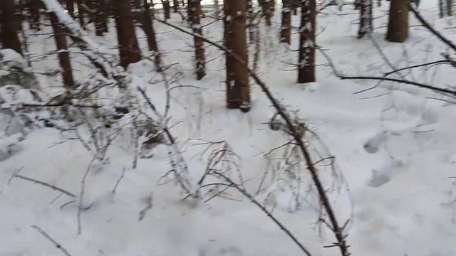 сезон подходит к концу.Первый выход в лес Шкоды. смотреть онлайн