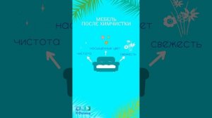 когда пора делать химчистку