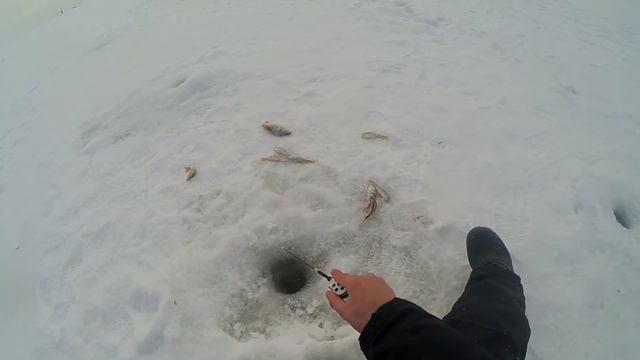 Ловля на Безнасадку (ГвоздиШарик) смотреть онлайн