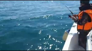 Морская рыбалка на Камчатке 2020