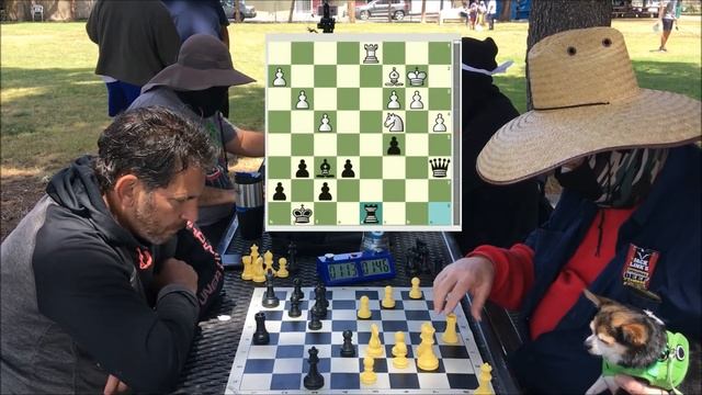 The Most Suspenseful Game In Coffee Chess History Part II! Brooklyn Dave vs FM Mark The Duck смотреть онлайн