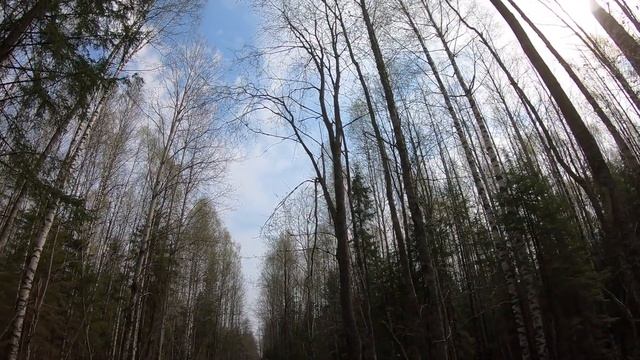 Продолжаем искать рельсы смотреть онлайн