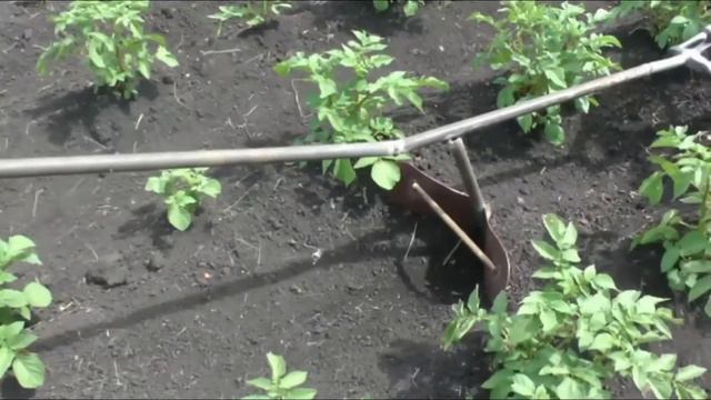 23 июня 2022 г. чудо плуг смотреть онлайн