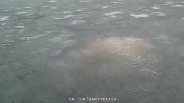 Лох-несское ЛОХ чудовище смотреть онлайн