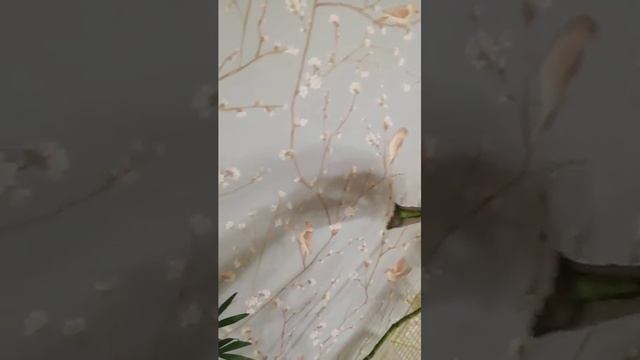 Мои цветы смотреть онлайн