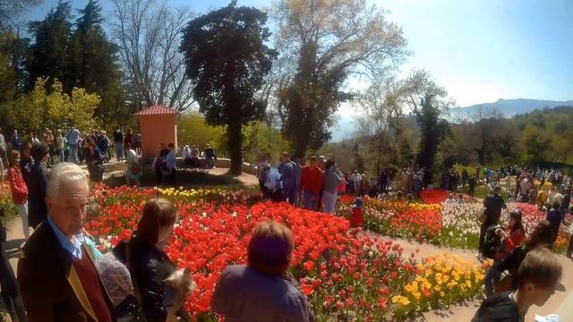 Парад тюльпанов в Никите и сумасшедшие очереди - Сами в Крым и Рим смотреть онлайн