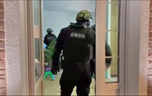 При обыске у блогера Чекалиной обнаружили золотые слитки / События на ТВЦ