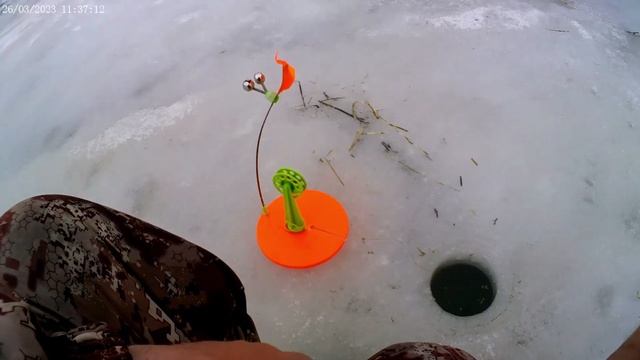 Последний лёд! (2) Рыбалка 26.03.2023г.