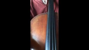 Музыкальные инструменты. Виолончель