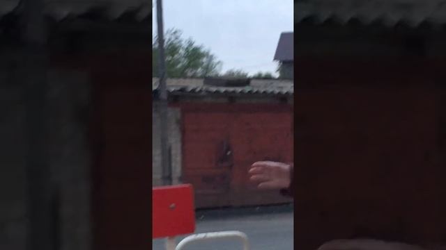 Злая бабка выгонят нас из детской площадкой смотреть онлайн