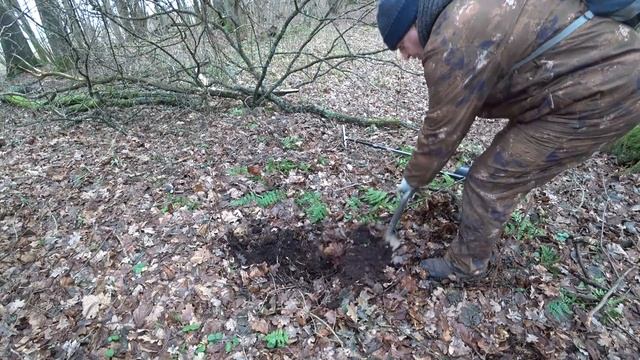 Я ОБНЯЛ ДУБ-ВЕЛИКАН и ПОБЛАГОДАРИЛ за ЗОЛОТО!!! смотреть онлайн