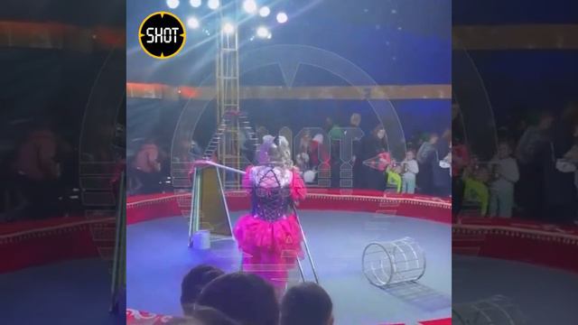 Момент обрушения трибуны с людьми во время выступления цирка в Лесколово смотреть онлайн