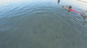 Отдых на курорте Эйн-Бокек. Израиль. Мертвое море. Инструкция по плаванию