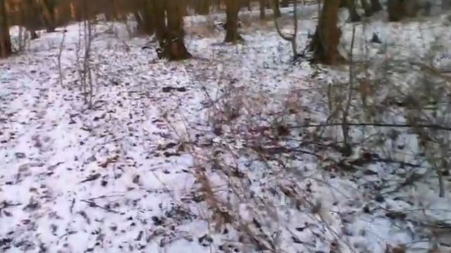 VID 20170111 150725 смотреть онлайн