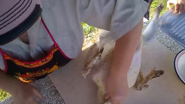 // Забой ИНДЮКА// Ощипывание// Опаливание// Потрошение//Сколько ВЕСИТ тушка ИНДЮКА? смотреть онлайн