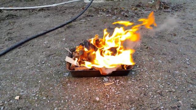 Как посадить хурму 