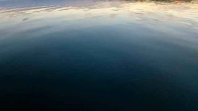 Закрытие сезона на Сахалинскую креветку/чилим/ 2021г. Chilim shrimp season closing 2021 смотреть онлайн