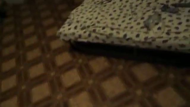 Обзор номера в отеле 