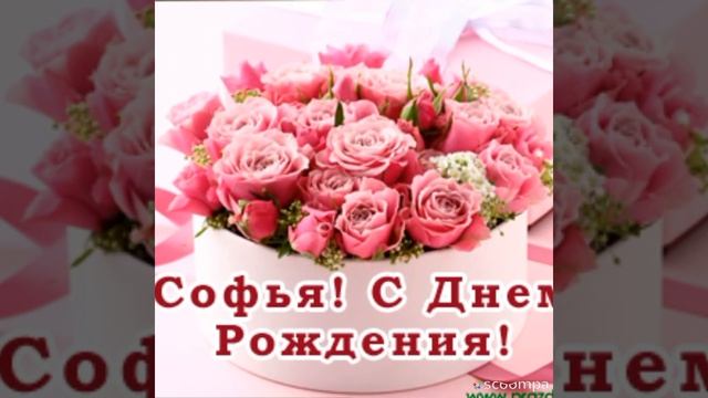 Старшей дочке 15 лет. С днём рождения, Софья! смотреть онлайн
