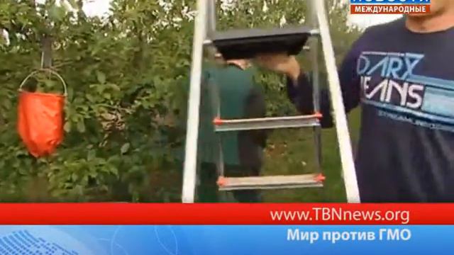 Мир против ГМО смотреть онлайн