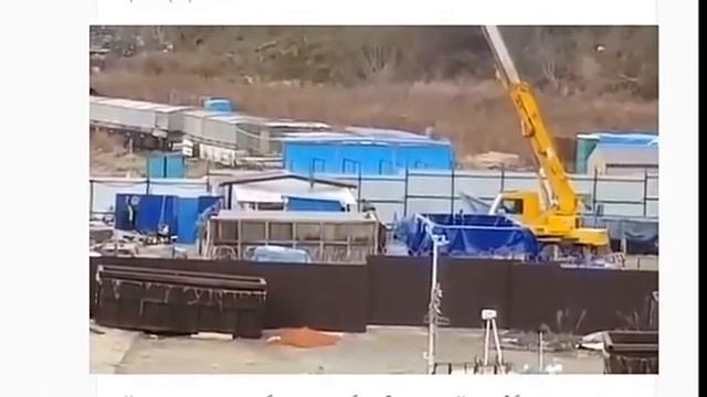 Перед прокурорской проверкой косаток и белух начали вывозить из бухты под Находкой смотреть онлайн