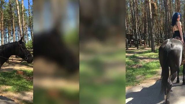 Софья Ангел Цвет настроения синий Киркоров сочиняет про Ангела смотреть онлайн