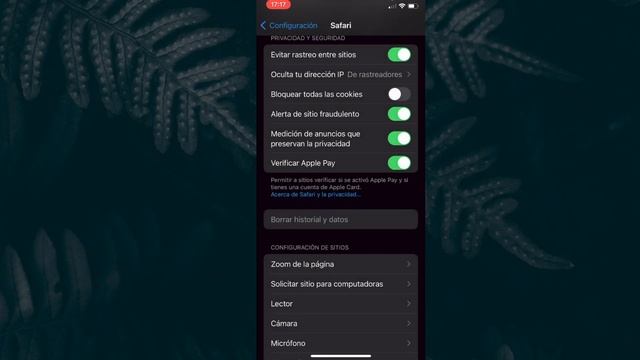 COMO ELIMINAR VIRUS DE MI IPHONE смотреть онлайн