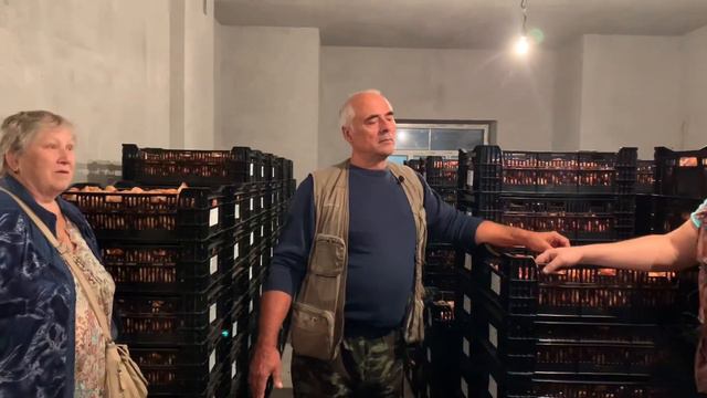 Выгонка тюльпанов. ЛУКОГОН: отзывы смотреть онлайн