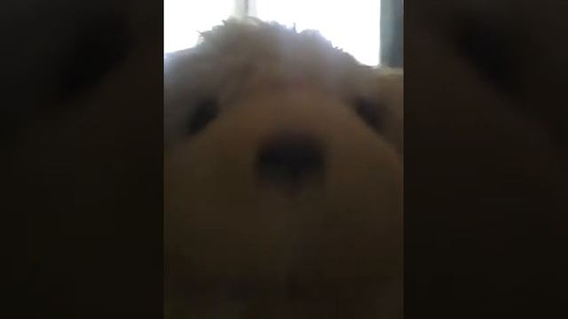 Ужасный беспорядок смотреть онлайн